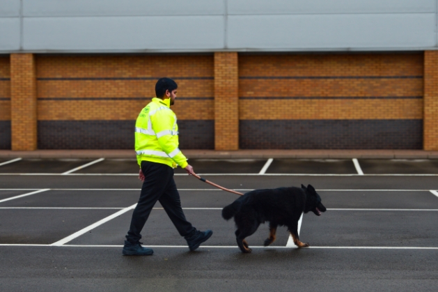 <h2>How Security Dog Handling Works</h2>
